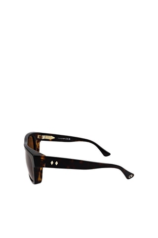 Lunettes de soleil homme - Catégorie 3 - Web - Marron