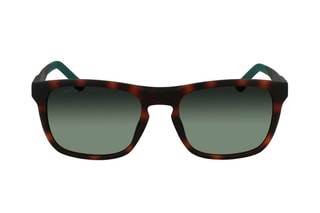 Lunettes de soleil homme - Catégorie 2 - Lacoste - Marron