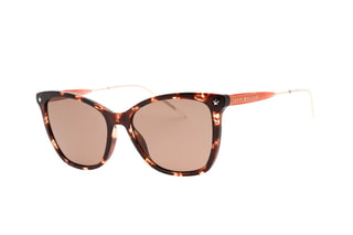 Lunettes de soleil homme - Catégorie 3 - Tommy Hilfiger - Marron