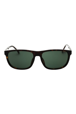 Lunettes de soleil homme - Catégorie 3 - Carrera - Marron, noir et vert