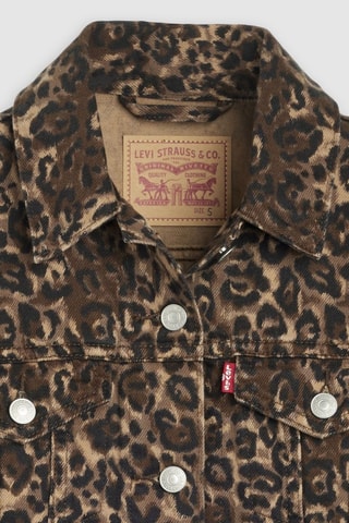 Giacca Trucker - Marrone