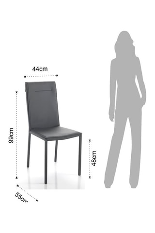 2 chaises Camy - Gris