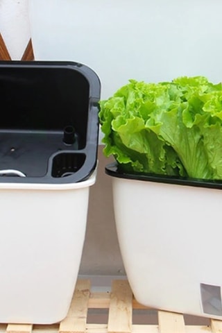 Jardinière auto irriguante Dalhia - Blanc