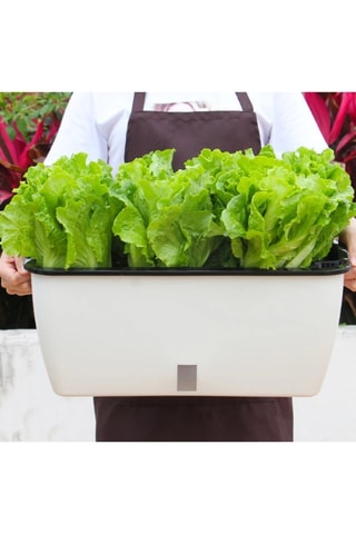 Jardinière auto irriguante Dalhia - Blanc