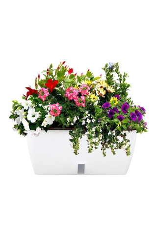 Jardinière auto irriguante Dalhia - Blanc