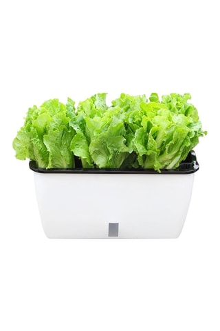 Jardinière auto irriguante Dalhia - Blanc
