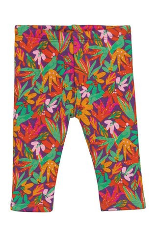 Pantalon - Violet et vert