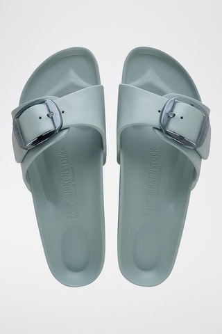 Mules Arizona - Vert