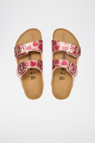 Mules Arizona - Rose