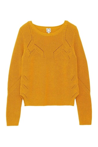 Pull - Moutarde