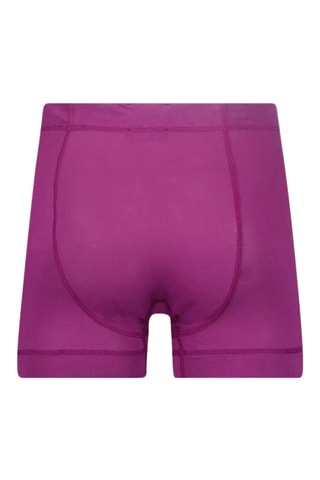 Boxer - Violet