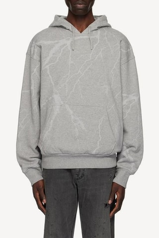 Sweat à capuche - Gris clair