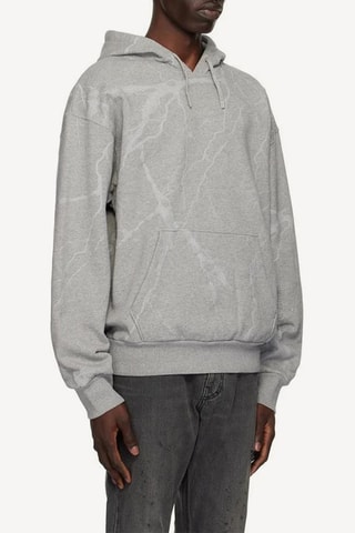 Sweat à capuche - Gris clair