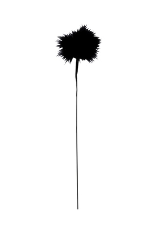 Boucle d’oreille - Noir