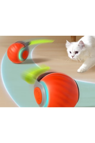 Juguete interactivo para gato