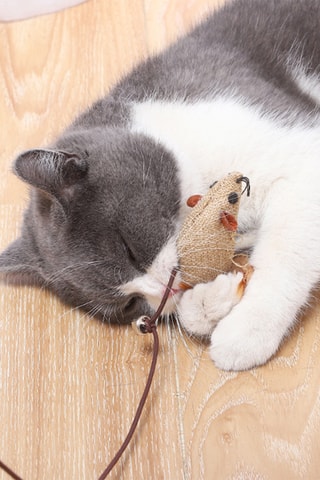 Estuche de juguetes interactivos de lino para gato - 9 piezas