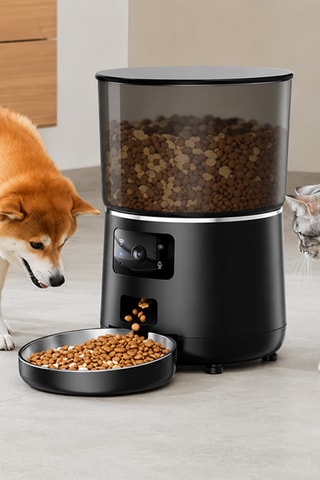 Comedero automático foodies - 4 l