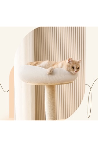 Rascador de madera de caucho NaturaCat - 40 x 72 x 60 cm