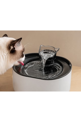 Fuente de agua - 2,2 l - 14,5 x 19,5 cm