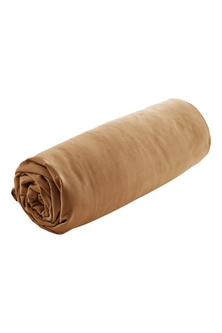 Drap-housse en percale de coton 80 fils/cm² Bally  - Marron