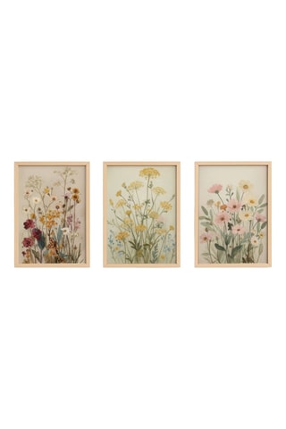 3 quadri - 50 x 35 cm