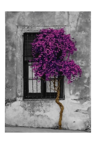 Quadro - 50 x 70 cm