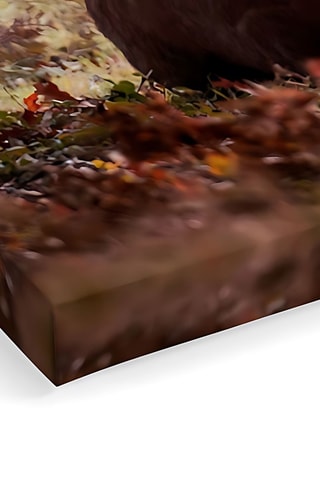 Tableau - 40 x 60 x 3 cm