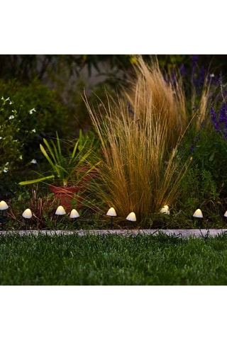 10 mini-champignons lumineux solaires LED Champy - Noir et blanc