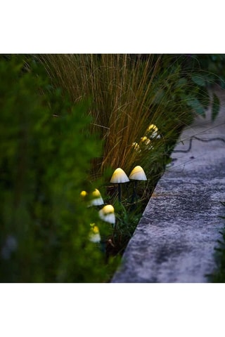 10 mini-champignons lumineux solaires LED Champy - Noir et blanc