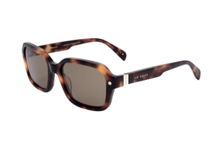 Gafas de sol hombre - Categoría 2 - Ted Baker - Marrón