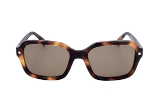 Gafas de sol hombre - Categoría 2 - Ted Baker - Marrón
