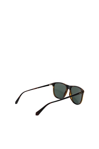Gafas de sol polarizadas hombre - Categoría 3 - Polaroid - Verde y marrón