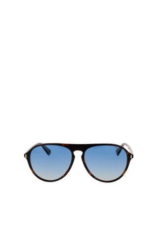 Gafas de sol polarizadas hombre - Categoría 2 - Polaroid - Azul y marrón