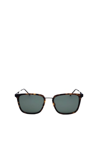 Lunettes de soleil homme - Catégorie 2 - Calvin Klein - Beige et marron