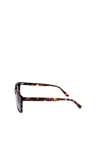 Lunettes de soleil polarisées homme - Catégorie 3 - Pepe Jeans - Marron