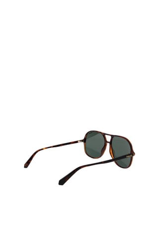 Lunettes de soleil polarisées homme - Catégorie 3 - Polaroid - Marron et vert