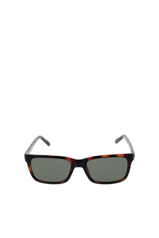 Lunettes de soleil homme - Catégorie 3 - Guess - Vert et marron