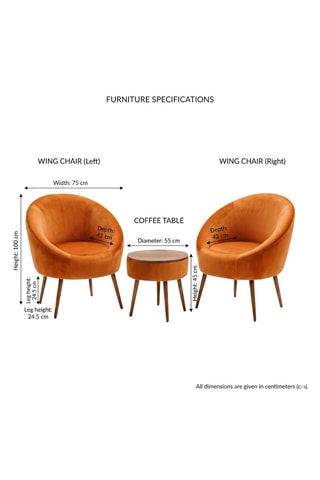 2 fauteuils et table basse