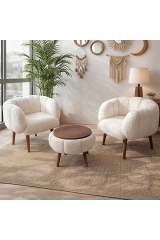 2 fauteuils et table basse