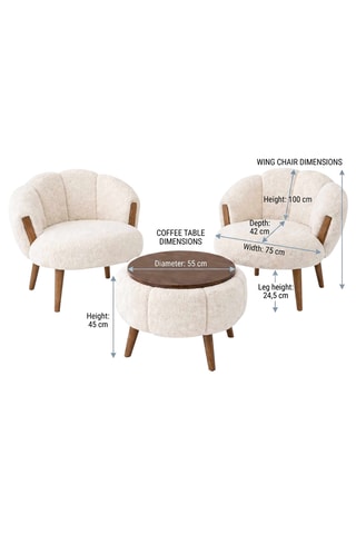 2 fauteuils et table basse