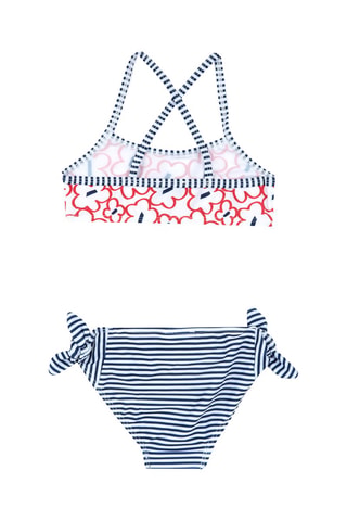 Bikini - Wit en Marineblauw