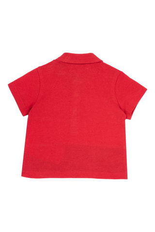 Polo - Rood