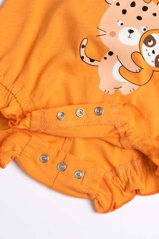 Pakje - Oranje