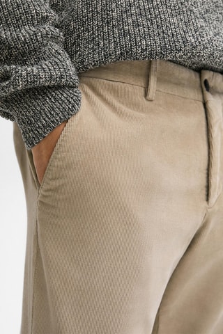 Pantaloni chino slim in velluto - Beige