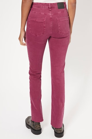 Jeans straight - Bordeaux