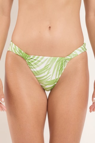 Braga de bikini Palms - Verde agua