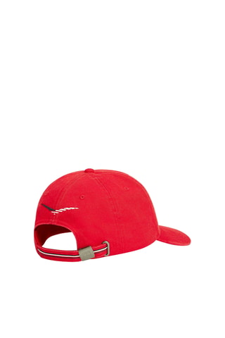 Pet Cadillac Formula 1 Team - Tommy Hilfiger - Rood