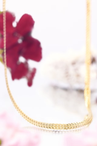 Collier Maille Bellamia - Or jaune