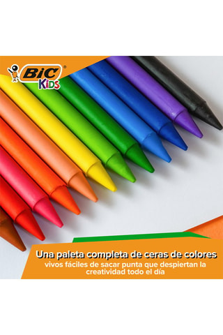 24 crayons de couleurs Plastidecor - Vert et bleu