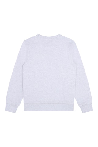 Sweat en coton biologique - Gris clair chiné - Zadig